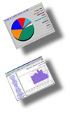 Web Hosting Comprehensive Statistics